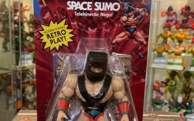SPACE SUMO