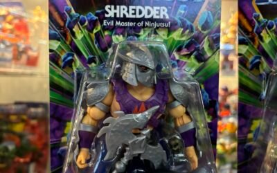 SHREDDER  TURTLES OF GRAYSKULL