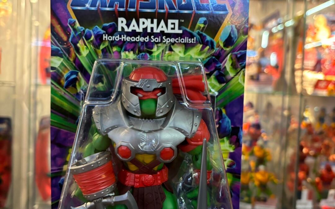 RAPHAEL TURTLES OF GRAYSKULL