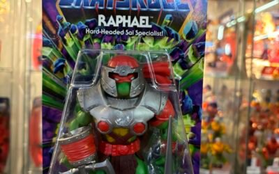 RAPHAEL TURTLES OF GRAYSKULL