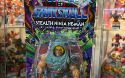 STEALTH NINJA HE-MAN TURTLES OF GRAYSKULL