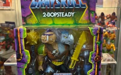 2-BOPSTEADY TURTLES OF GRAYSKULL