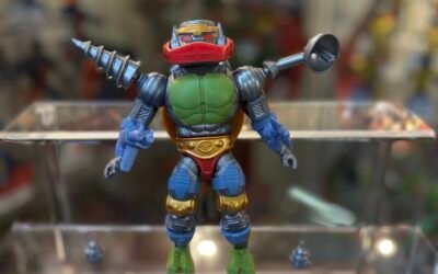 METAL-BOTO TURTLES OF GRAYSKULL