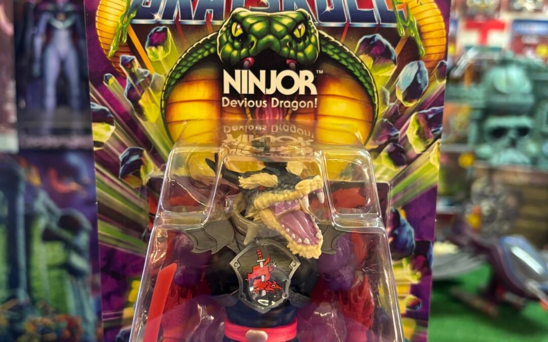 NINJOR TURTLES OF GRAYSKULL