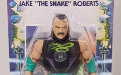 JAKE “THE SNAKE” ROBERTS